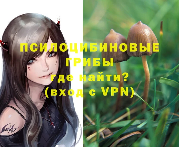 гидропоника Михайловск