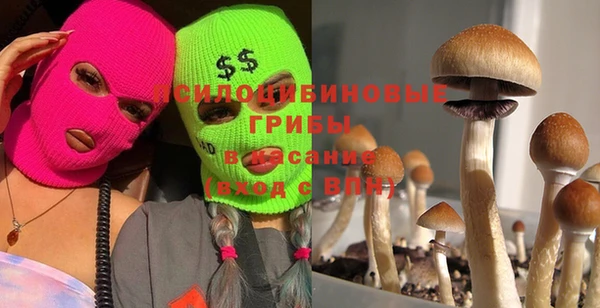 гидропоника Мегион