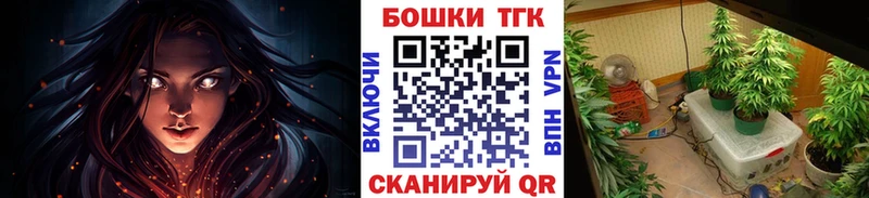 Канабис OG Kush  продажа наркотиков  Никольск 